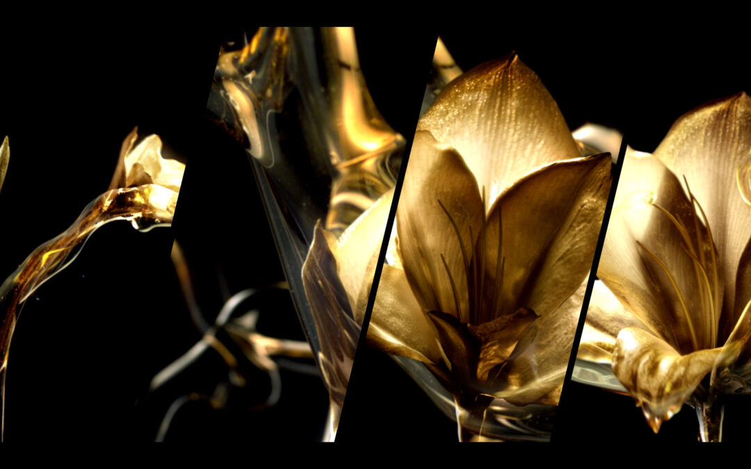 L’Oréal Elseve – Extra Oil